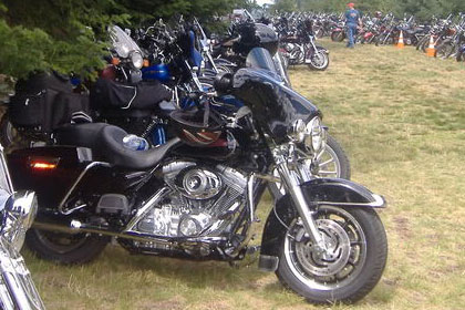 Long lines of motorcycles fill field of grass surrounded by trees.