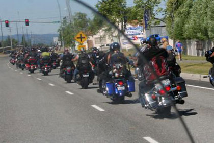 Two lines of motorcycles on road driving away from camera.