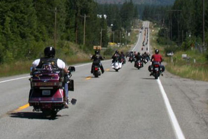 Two lines of motorcycles on road driving away from camera.