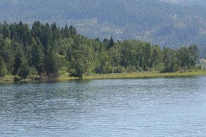 Lake with trees and mountains in the background.