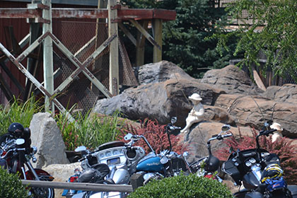 Parked motorcycles.