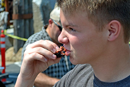 Eating barbecue at the event.