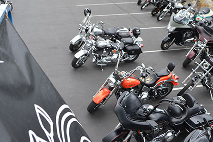 Couple rows of motorcycles.