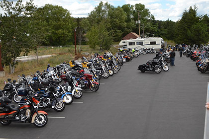 Three rows of motorcycles in the parking lot.